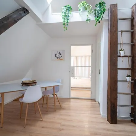 Apartment Les Combles Du Moulin Geudertheim